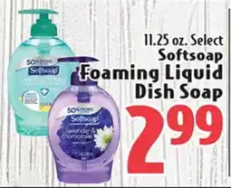 Eurofresh Market 11.25 oz. Select Softsoap Foaming Liquid Dish Soap offer