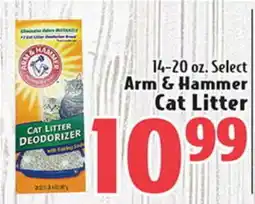 Eurofresh Market Arm & Hammer Cat Litter offer