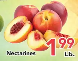 Eurofresh Market Nectarines offer