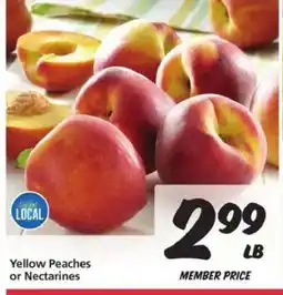 Safeway Yellow Peaches or Nectarines offer