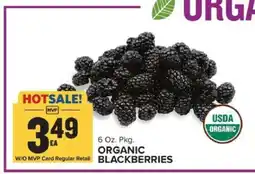 Food Lion Organic Blackberries offer