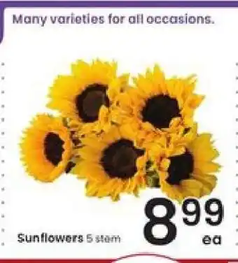 Albertsons Sunflowers offer