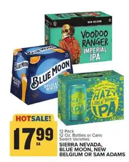 Food Lion Sierra Nevada, Blue Moon, New Belgium or Sam Adams offer