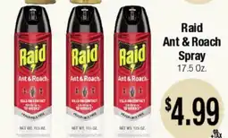 Big Saver Foods Raid Ant & Roach Spray offer