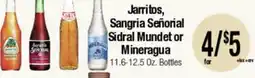 Big Saver Foods Jarritos, Sangria Señorial Sidral Mundet or Mineragua offer