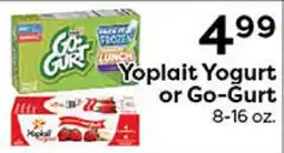 Rich's Fresh Market Yoplait Yogurt or Go-Gurt offer