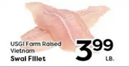 Rich's Fresh Market USGI Farm Raised Vietnam Swal Fillet offer