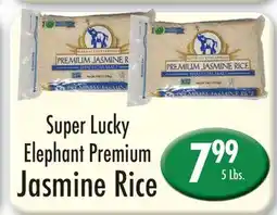 Garden Fresh Market Super Lucky Elephant Premium Jasmine Rice offer