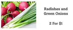 Windmill Farms Radishes and Green Onions offer