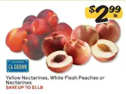 Winn Dixie Yellow Nectarines, White Flesh Peaches or Nectarines offer