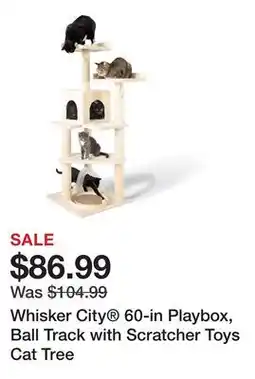 Petsmart Whisker City 60-in Playbox, Ball Track with Scratcher Toys Cat Tree offer