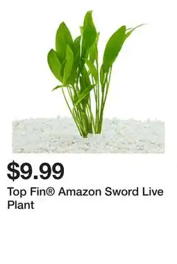 Petsmart Top Fin Amazon Sword Live Plant offer