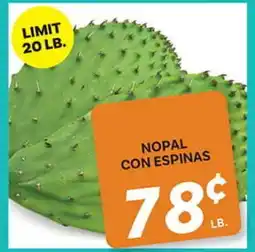 El Paso Grande NOPAL CON ESPINAS offer