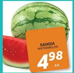 El Paso Grande SANDIA WATERMELON offer