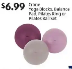 Aldi Crane Yoga Blocks, Balance Pad, Pilates Ring or Pilates Ball Set offer