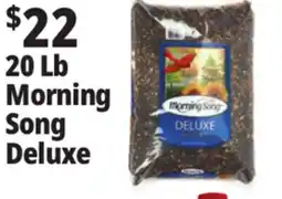 Ocean State Job Lot Morning Song Deluxe Wild Bird Food 20 lbs offer