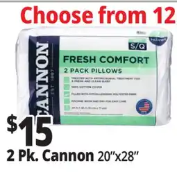 Ocean State Job Lot Cannon Fresh Comfort Bed Pillows offer