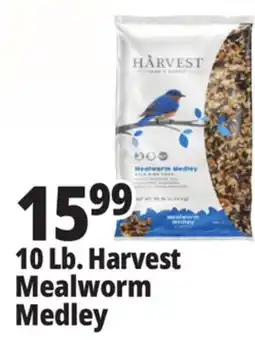 Ocean State Job Lot Harvest Seed & Supply Mealworm Medley Wild Bird Food 10 lb offer