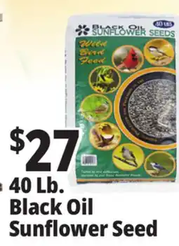 Ocean State Job Lot Black Oil Sunflower Seeds offer
