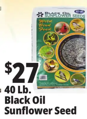 Ocean State Job Lot Black Oil Sunflower Seeds offer