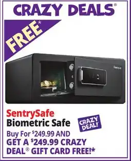 Ocean State Job Lot SentrySafe .90 cu.ft. Biometric Security Safe Black offer