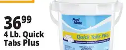 Ocean State Job Lot Pool Mate Quick Tabs Plus 4 lbs offer