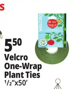 Ocean State Job Lot Velcro One-Wrap Plant Ties offer