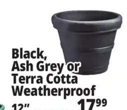Ocean State Job Lot Black, Ash Grey or Weatherproof offer
