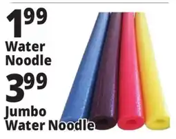 Ocean State Job Lot Water Noodle offer
