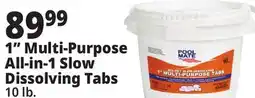 Ocean State Job Lot Pool Mate All-In-1 Slow-Dissolving 1 Multi-Purpose Tabs 10 lbs offer