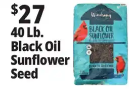 Ocean State Job Lot Black Oil Sunflower Seeds 40 lbs offer