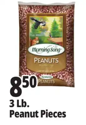 Ocean State Job Lot Audubon Peanut Pieces Bird Seed 3lb offer