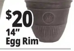 Ocean State Job Lot 14 Egg Rim offer