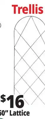 Ocean State Job Lot Panacea Lattice Garden Trellis 60 offer