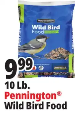 Ocean State Job Lot 10 Lb. Pennington Wild Bird Food offer