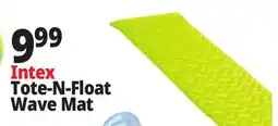 Ocean State Job Lot Intex Tote-n-Float Wave Mat offer