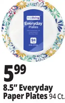 Ocean State Job Lot 8.5 Everyday Paper Plates offer