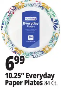 Ocean State Job Lot 10.25 Everyday Paper Plates offer