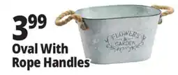 Ocean State Job Lot Galvanized Oval Planter with Rope Handles offer