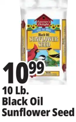 Ocean State Job Lot 10 Lb. Black Oil Sunflower Seed offer