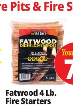 Ocean State Job Lot Ossipee Mountain Firewood Kindling offer