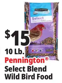 Ocean State Job Lot Pennington Premium Select Blend Bird Seed 10 lb offer