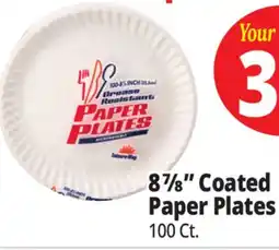 Ocean State Job Lot Aspen Easy Ware 10.25 Heavy-Duty Paper Plates 24 Count offer
