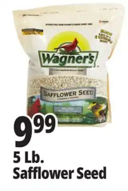 Ocean State Job Lot Wagner's Safflower Seed Deluxe Wild Bird Food offer