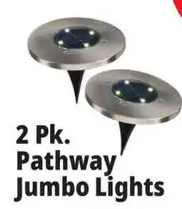 Ocean State Job Lot 2 Pk. Pathway Jumbo Lights offer