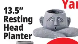 Ocean State Job Lot 13.5 Resting Head Planter offer
