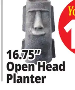 Ocean State Job Lot Open Head Planter offer