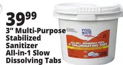 Ocean State Job Lot Pool Mate Multi-Purpose Stabilized Sanitizer All-in-1 Slow Dissolving Tabs offer