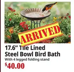 Ocean State Job Lot 17.6 Tile Lined Steel Bowl Bird Bath offer
