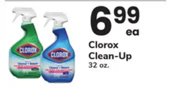 ACME Clorox Clean-Up offer